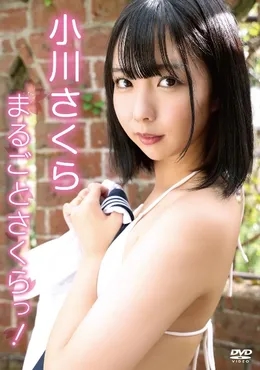 SHIO-003